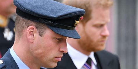 New book pushes Harry’s claims William cruelly rebuffed him on day queen died